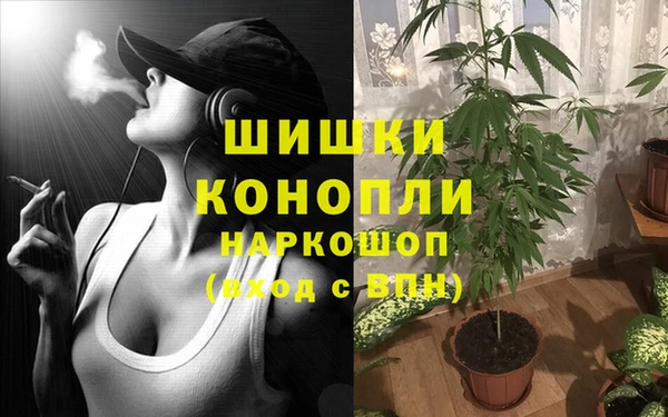винт Белокуриха