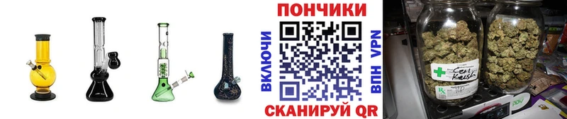 Бошки марихуана сатива  цены наркотик  Биробиджан 